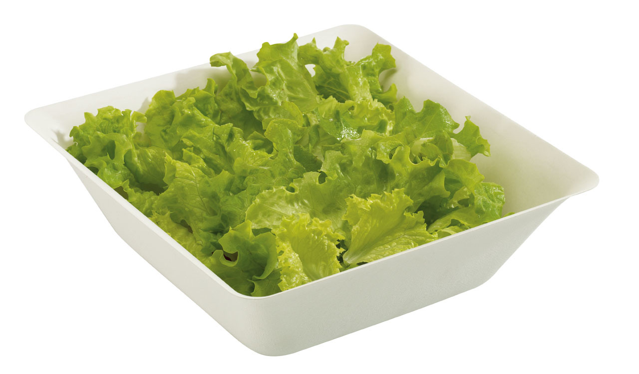 Best HCG Salad Dressing for Phase 2 for the DIY HCG Diet to Lose Weight