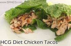 HCG Diet Recipes Phase 2