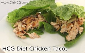 HCG Diet Recipes Phase 2