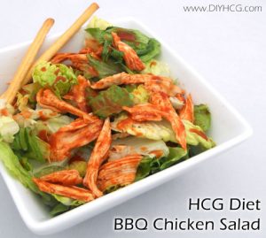 DIY HCG Diet Recipe Phase 2