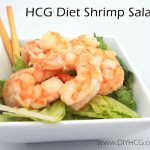 HCG Diet Recipe Phase 2