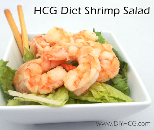 This 'Grilled Shrimp Salad' for phase 2 of the HCG diet is one of my favorites! It's fresh, clean, and taste amazing when topped with the right type of salad dressing!