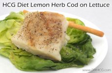 HCG Diet Recipe Phase 2