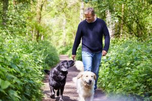 Photo - Man walking with dogs